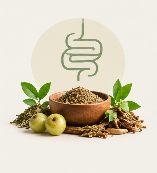 Gut Health